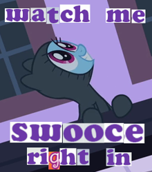 Size: 254x288 | Tagged: safe, screencap, character:rainbow dash, species:pony, episode:read it and weep, g4, my little pony: friendship is magic, caption, clothing, expand dong, exploitable meme, hoodie, image macro, meme, scooby doo, skooks, solo, swooce, the misadventures of skooks, youtube poop