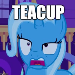 Size: 500x500 | Tagged: safe, screencap, character:trixie, species:pony, episode:all bottled up, episode:to where and back again, g4, my little pony: friendship is magic, caption, cropped, cup, faec, image macro, meme, solo, teacup, text, that pony sure does love teacups
