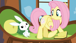 Size: 1920x1080 | Tagged: safe, screencap, character:angel bunny, character:fluttershy, species:pony, episode:the hooffields and mccolts, g4, my little pony: friendship is magic, book, booty call, couch, glowing cutie mark, looking back, unamused, window