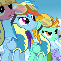 Size: 1254x1255 | Tagged: safe, screencap, character:cloudchaser, character:lightning dust, character:meadow flower, character:rainbow dash, species:pony, episode:wonderbolts academy, clothing, cropped, goggles, grin, smiling, uniform, wonderbolt trainee uniform