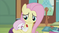 Size: 916x512 | Tagged: safe, screencap, character:angel bunny, character:fluttershy, species:pony, species:rabbit, episode:fluttershy leans in, g4, my little pony: friendship is magic, animal, fluttermom, injured, lamp