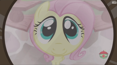 Size: 400x225 | Tagged: safe, screencap, character:fluttershy, species:pony, episode:fluttershy leans in, g4, my little pony: friendship is magic, animated, cute, fisheye lens, gif, looking at you, shyabetes, smiling, solo, treehouse logo