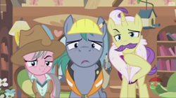 Size: 914x512 | Tagged: safe, screencap, character:dandy grandeur, character:hard hat, character:wrangler, species:pony, episode:fluttershy leans in, g4, my little pony: friendship is magic, clothing, hard hat, hat, raised eyebrow