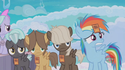 Size: 1236x692 | Tagged: safe, screencap, character:dumbbell, character:flitter, character:hoops, character:rainbow dash, character:thunderlane, species:pony, episode:parental glideance, g4, my little pony: friendship is magic, participation ribbon