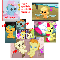 Size: 1200x1200 | Tagged: safe, screencap, character:apple bloom, character:applejack, character:pound cake, character:pumpkin cake, character:rainbow dash, character:snails, character:snips, species:pony, episode:parental glideance, g4, my little pony: friendship is magic, baby, baby apple bloom, baby dash, baby pony, babyjack, colt, female, filly, foal, implications, male, mare, theory, trans female, trans mare rainbow dash, trans rainbow dash, transgender, viewer gender confusion