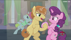 Size: 1366x768 | Tagged: safe, screencap, character:feather bangs, character:sugar belle, species:pony, episode:hard to say anything, g4, my little pony: friendship is magic, animation error, battle for sugar belle, bipedal, missing cutie mark