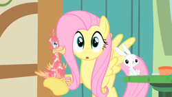 Size: 1280x720 | Tagged: safe, screencap, character:angel bunny, character:fluttershy, character:philomena, species:bird, species:pegasus, species:phoenix, species:pony, species:rabbit, episode:a bird in the hoof, g4, my little pony: friendship is magic, cute, feather, female, male, mare, tape, trio
