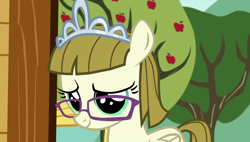 Size: 1920x1090 | Tagged: safe, screencap, character:zipporwhill, species:pegasus, species:pony, episode:forever filly, g4, my little pony: friendship is magic, cute, female, filly, glasses, lidded eyes, mare, solo, zipporbetes