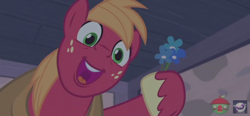Size: 1000x465 | Tagged: safe, screencap, character:big mcintosh, species:earth pony, species:pony, episode:hard to say anything, g4, my little pony: friendship is magic, battle for sugar belle, courtship, eager, flower, hoof hold, interior, male, open mouth, smiling, solo, stallion