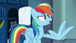 Size: 1920x1090 | Tagged: safe, screencap, character:rainbow dash, species:pony, episode:parental glideance, g4, my little pony: friendship is magic, locker, locker room, solo, wing hands