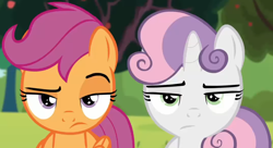 Size: 1408x764 | Tagged: safe, screencap, character:scootaloo, character:sweetie belle, species:pegasus, species:pony, episode:brotherhooves social, g4, my little pony: friendship is magic, raised eyebrow, unamused