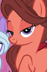 Size: 469x718 | Tagged: safe, screencap, character:swoon song, species:earth pony, species:pony, episode:hard to say anything, g4, my little pony: friendship is magic, cropped, female, lidded eyes, looking at you, mare, solo