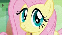 Size: 384x216 | Tagged: safe, screencap, character:fluttershy, episode:a bird in the hoof, g4, my little pony: friendship is magic, ei, hub logo, looking at you, smiling