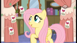 Size: 961x539 | Tagged: safe, screencap, character:fluttershy, species:pegasus, species:pony, episode:discordant harmony, g4, my little pony: friendship is magic, cute, female, ginseng teabags, mare, open mouth, raised hoof, shyabetes, singing, teabag