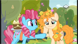 Size: 962x542 | Tagged: safe, screencap, character:cup cake, character:pear butter, species:earth pony, species:pony, episode:the perfect pear, g4, my little pony: friendship is magic, boomerang (tv channel), cake, chiffon swirl, duo, female, flower, flower in hair, food, heart, lidded eyes, mare, pear cake, pear tree, wavy mouth, younger