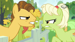 Size: 1024x576 | Tagged: safe, screencap, character:cinnamon pear, character:cornice pear, character:goldie delicious, character:grand pear, character:granny smith, species:pony, episode:the perfect pear, g4, my little pony: friendship is magic, boomerang (tv channel), glare, gritted teeth, looking at each other, pear family member, shiny concorde, young grand pear, young granny smith, younger