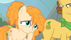 Size: 1024x576 | Tagged: safe, screencap, character:grand pear, character:pear butter, species:pony, episode:the perfect pear, g4, my little pony: friendship is magic, boomerang (tv channel), smiling, younger