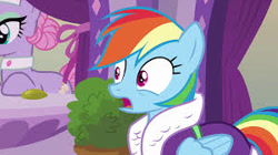 Size: 300x168 | Tagged: safe, screencap, character:lavender essence, character:rainbow dash, species:pegasus, species:pony, episode:applejack's day off, bathrobe, clothing, cute, dashabetes, female, gasp, mare, open mouth, picture for breezies, robe, shocked, shrunken pupils