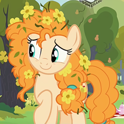 Size: 482x482 | Tagged: safe, screencap, character:pear butter, species:earth pony, species:pony, episode:the perfect pear, g4, my little pony: friendship is magic, boomerang (tv channel), cropped, cute, female, flower, flower in hair, happy, mare, messy hair, pearabetes, raised hoof, smiling, solo