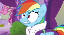 Size: 400x223 | Tagged: safe, screencap, character:lavender essence, character:rainbow dash, species:pegasus, species:pony, episode:applejack's day off, bathrobe, clothing, female, gritted teeth, mare, rainbow dash is best facemaker, reaction image, robe, shocked