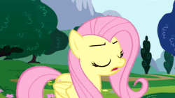 Size: 1280x720 | Tagged: safe, screencap, character:fluttershy, character:rainbow dash, species:pegasus, species:pony, episode:sonic rainboom, g4, my little pony: friendship is magic, animated, blinking, cute, duo, eyes closed, female, flutteryay, frown, gasp, glare, lidded eyes, mare, open mouth, rearing, serious, serious face, sound, spread wings, video, webm, wide eyes, wings, worried, yay