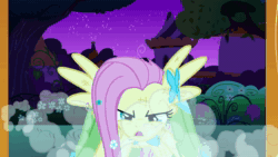 Size: 1920x1080 | Tagged: safe, screencap, character:fluttershy, species:pegasus, species:pony, episode:the best night ever, g4, my little pony: friendship is magic, animated, female, flutterrage, glare, gritted teeth, insanity, looking at you, mare, open mouth, panting, rage, solo, sound, spread wings, webm, wings, yandere, yelling, you're going to love me
