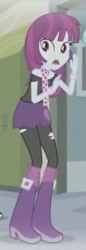 Size: 166x480 | Tagged: safe, screencap, character:mystery mint, episode:my past is not today, g4, my little pony:equestria girls, background human, boots, clothing, cropped, high heel boots, pantyhose, ripped pantyhose, scarf, shoes, skirt, solo