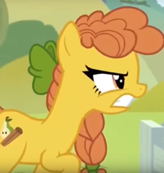 Size: 700x738 | Tagged: safe, screencap, character:cinnamon pear, species:earth pony, species:pony, episode:the perfect pear, g4, my little pony: friendship is magic, angry, background pony, braid, cropped, female, mare, pear family member, solo