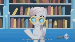 Size: 853x474 | Tagged: safe, screencap, character:amethyst maresbury, episode:the crystal empire, g4, my little pony: friendship is magic, crystal empire, librarian, library, terrorist, youtube caption