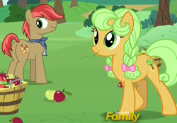 Size: 920x642 | Tagged: safe, screencap, character:apples snack, character:goldie delicious, species:earth pony, species:pony, episode:the perfect pear, g4, my little pony: friendship is magic, apple, apple family member, background pony, bandana, basket, bow, braid, bushel basket, cropped, female, food, hair bow, male, mare, stallion, younger