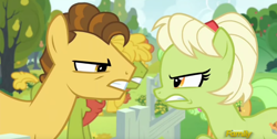 Size: 1276x644 | Tagged: safe, screencap, character:grand pear, character:granny smith, species:pony, episode:the perfect pear, g4, my little pony: friendship is magic, angry, discovery family logo, young grand pear, young granny smith, younger