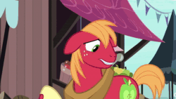 Size: 1920x1080 | Tagged: safe, screencap, character:big mcintosh, character:burnt oak, species:pony, episode:the perfect pear, g4, my little pony: friendship is magic, animated, crying, feels, firewood, smiling, sound, webm