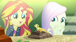Size: 1920x1080 | Tagged: safe, screencap, character:fluttershy, character:ray, character:sunset shimmer, episode:pet project, eqg summertime shorts, g4, my little pony:equestria girls, 8^y, cute, leopard gecko, lizard, ray, shimmerbetes, shimmersmile, shyabetes, terrarium