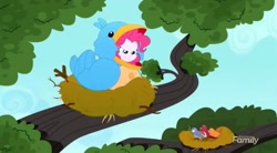 Size: 1492x826 | Tagged: safe, screencap, character:constance, character:pinkie pie, species:bird, episode:the art of friendship, eqg summertime shorts, g4, my little pony:equestria girls, animal costume, bird costume, bird nest, chickadee (bird), clothing, costume, house finch, nest, pinkie birdie, sitting in a tree, songbird, tree branch