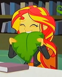 Size: 489x604 | Tagged: safe, screencap, character:sunset shimmer, episode:epic fails, eqg summertime shorts, g4, my little pony:equestria girls, cropped, cute, humans doing horse things, shimmerbetes, sunset wants her old digestive system back