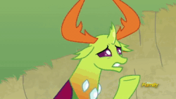 Size: 1024x576 | Tagged: safe, screencap, character:princess ember, character:thorax, species:changeling, species:dragon, species:reformed changeling, episode:triple threat, g4, my little pony: friendship is magic, animated, assertive, blinking, cute, discovery family logo, female, finger, male, shhh, shipping fuel, shush, sound, teaching, thorabetes, webm