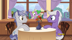 Size: 1366x768 | Tagged: safe, screencap, character:silver script, character:spike, character:star bright, species:dragon, species:pegasus, species:pony, species:unicorn, episode:triple threat, g4, my little pony: friendship is magic, background pony, chair, desk, flower, looking at each other, male, ponies sitting next to each other, ponies standing next to each other, sitting, smiling, stallion, table, vase, window