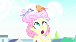 Size: 1920x1080 | Tagged: safe, screencap, character:fluttershy, episode:epic fails, eqg summertime shorts, g4, my little pony:equestria girls, solo