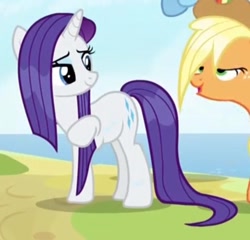 Size: 524x503 | Tagged: safe, screencap, character:applejack, character:rarity, species:pony, episode:campfire tales, g4, my little pony: friendship is magic, cropped, wet, wet mane, wet mane rarity