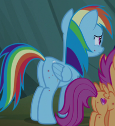 Size: 388x425 | Tagged: safe, screencap, character:rainbow dash, species:pony, episode:campfire tales, g4, my little pony: friendship is magic, bite mark, bug bite, cropped, fly-der bite, plot