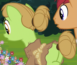 Size: 667x563 | Tagged: safe, screencap, species:earth pony, species:pony, episode:campfire tales, g4, my little pony: friendship is magic, clothing, cropped, duo, female, flower, hair bun, male, mare, plot, solo focus, stallion, tail bun, unnamed pony