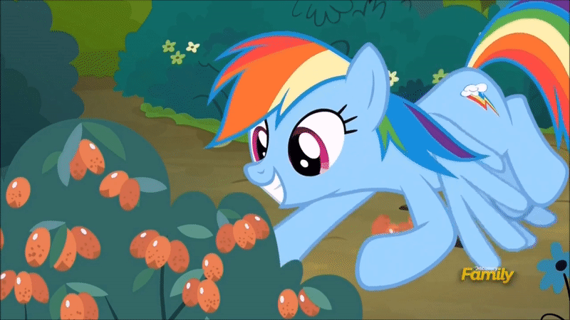 Size: 800x450 | Tagged: safe, screencap, character:rainbow dash, species:pegasus, species:pony, episode:campfire tales, g4, my little pony: friendship is magic, animated, berries, female, flapping, flying, gif, mare, smiling, solo