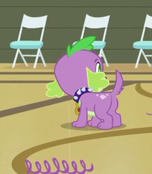 Size: 396x453 | Tagged: safe, screencap, character:spike, species:dog, equestria girls:equestria girls, g4, my little pony:equestria girls, butt, dragonbutt, male, puppy, rear view, solo, spike the dog, standing
