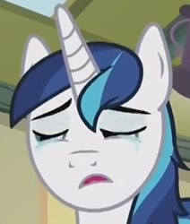 Size: 422x498 | Tagged: safe, screencap, character:shining armor, species:pony, species:unicorn, episode:a flurry of emotions, g4, my little pony: friendship is magic, cropped, crying, cute, liquid pride, shining adorable