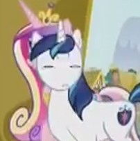 Size: 202x203 | Tagged: safe, screencap, character:princess cadance, character:shining armor, species:alicorn, species:pony, species:unicorn, episode:a flurry of emotions, g4, my little pony: friendship is magic, cropped, wat