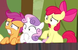 Size: 617x398 | Tagged: safe, screencap, character:apple bloom, character:scootaloo, character:sweetie belle, species:pegasus, species:pony, episode:appleoosa's most wanted, g4, my little pony: friendship is magic, cutie mark crusaders, shocked