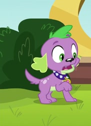 Size: 300x412 | Tagged: safe, screencap, character:spike, character:spike (dog), species:dog, equestria girls:friendship games, g4, my little pony:equestria girls, cropped, puppy, solo