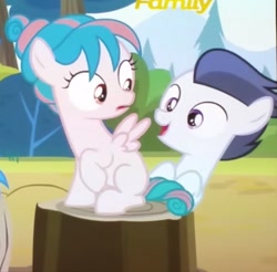 Size: 534x525 | Tagged: safe, screencap, character:rumble, character:tulip swirl, species:pegasus, species:pony, episode:marks and recreation, g4, my little pony: friendship is magic, colt, male
