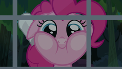 Size: 1920x1080 | Tagged: safe, screencap, character:pinkie pie, species:earth pony, species:pony, episode:daring done, against glass, female, glass, looking at you, mare, smiling, solo, squishy cheeks, window