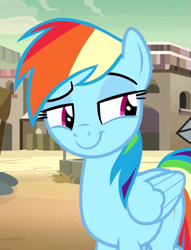 Size: 561x735 | Tagged: safe, screencap, character:rainbow dash, episode:daring done, smiling, smirk, solo